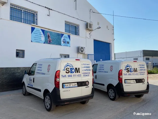 SDM DEL MEDITERRÁNEO S.L.