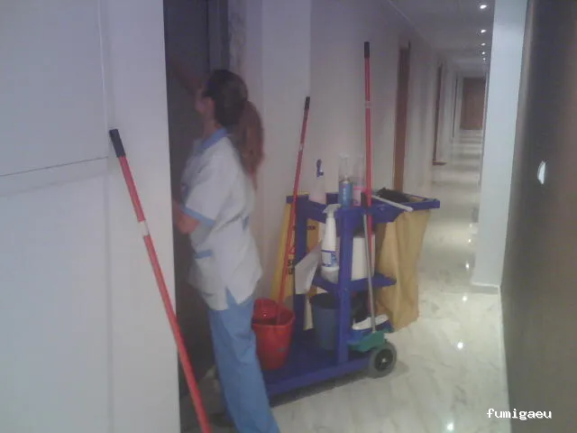 SDM DEL MEDITERRÁNEO S.L.