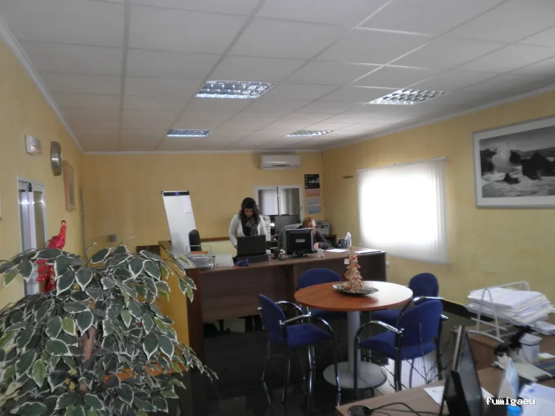 SDM DEL MEDITERRÁNEO S.L.