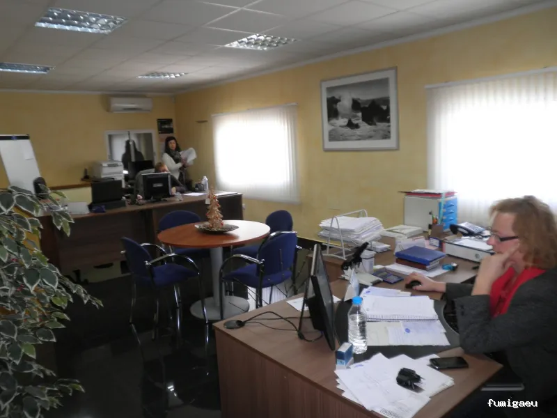 SDM DEL MEDITERRÁNEO S.L.