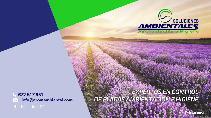 Soluciones Ambientales Siglo XXI