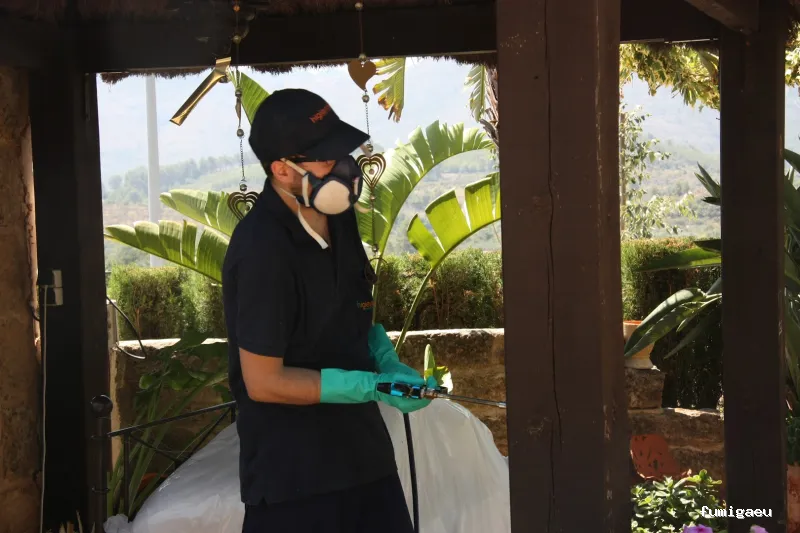 HIGIENISA CONTROL DE PLAGAS Y DESINFECCIONES BENIDORM