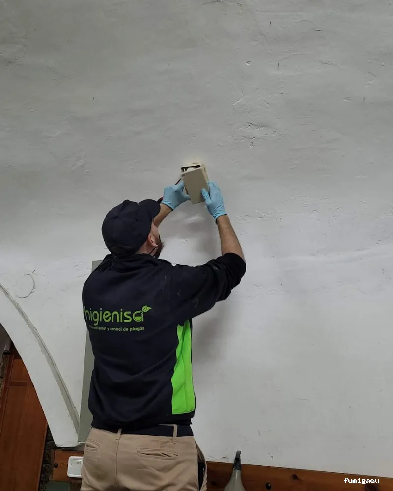HIGIENISA CONTROL DE PLAGAS Y DESINFECCIONES BENIDORM