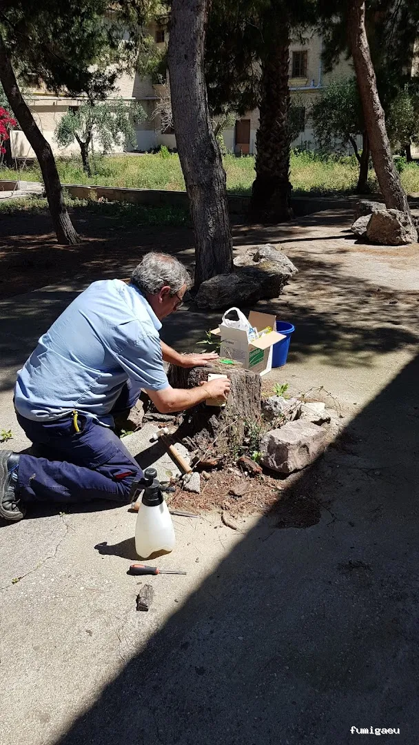 HIGIENISA CONTROL DE PLAGAS Y DESINFECCIONES BENIDORM