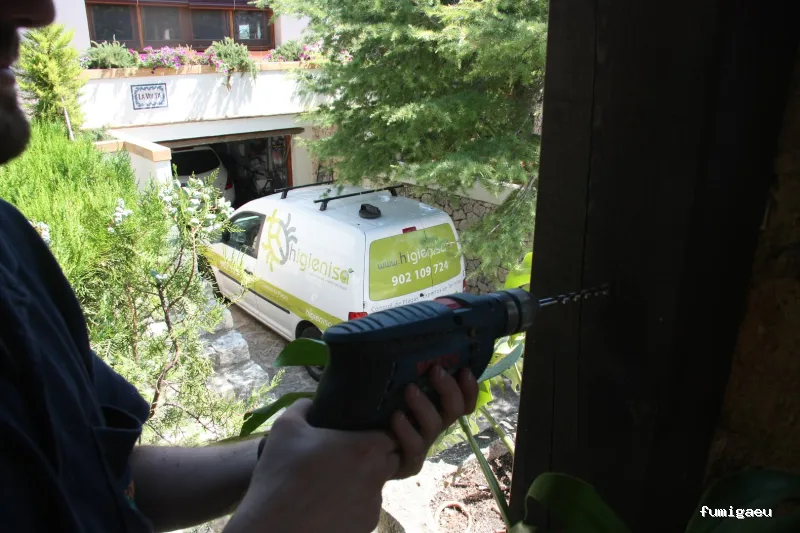 HIGIENISA CONTROL DE PLAGAS Y DESINFECCIONES BENIDORM