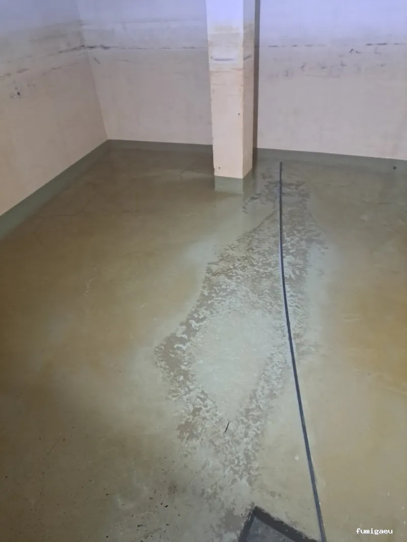 HIGIENISA CONTROL DE PLAGAS Y DESINFECCIONES BENIDORM