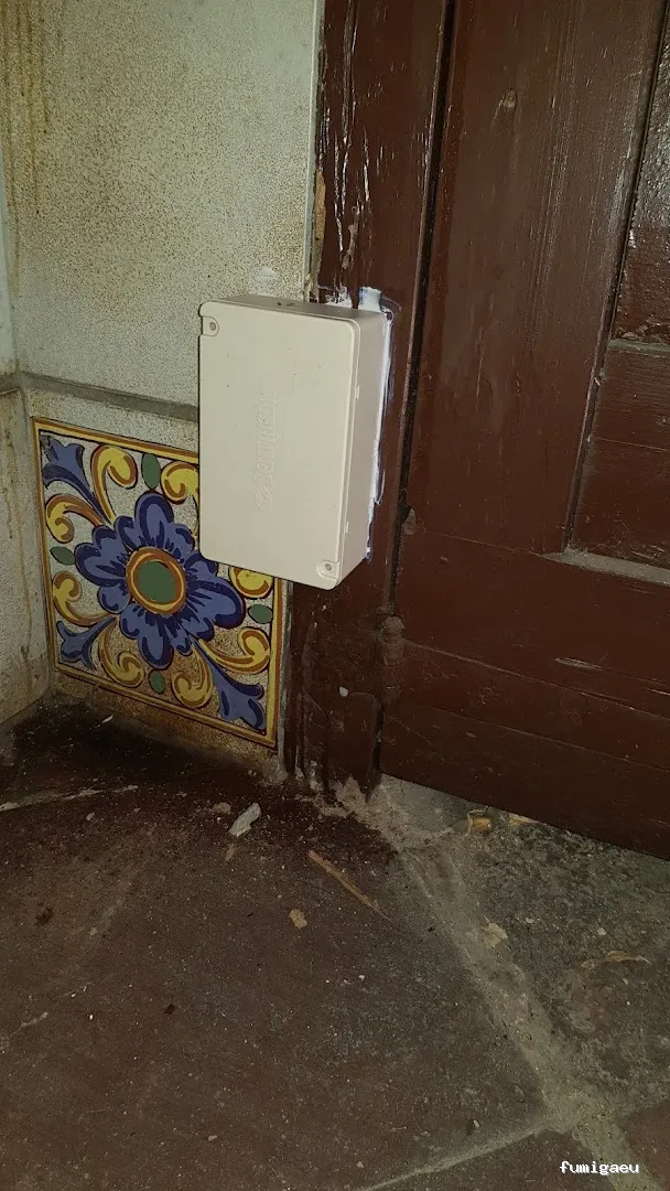 HIGIENISA CONTROL DE PLAGAS Y DESINFECCIONES BENIDORM