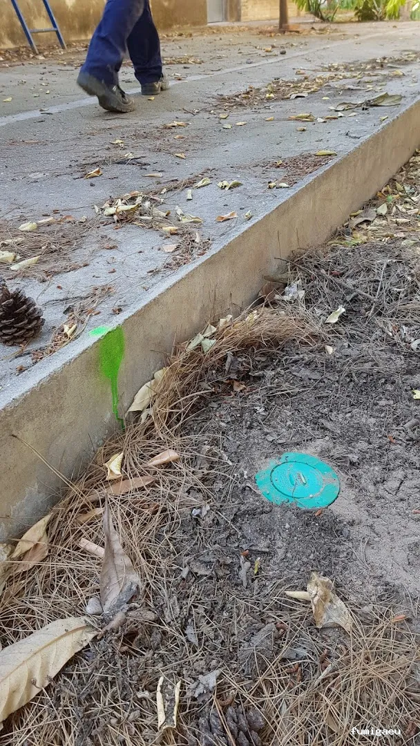 HIGIENISA CONTROL DE PLAGAS Y DESINFECCIONES BENIDORM