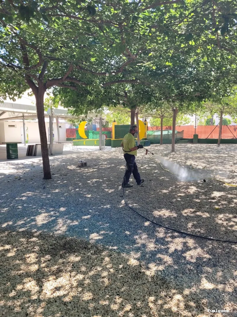 HIGIENISA CONTROL DE PLAGAS Y DESINFECCIONES BENIDORM