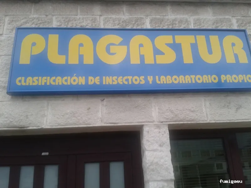 Plagastur