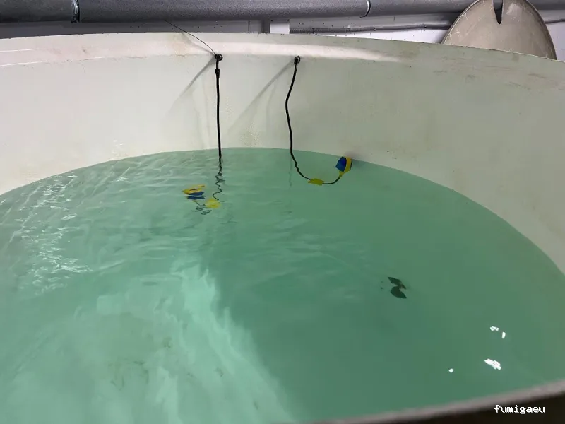 SANTÉ CONTROL AMBIENTAL