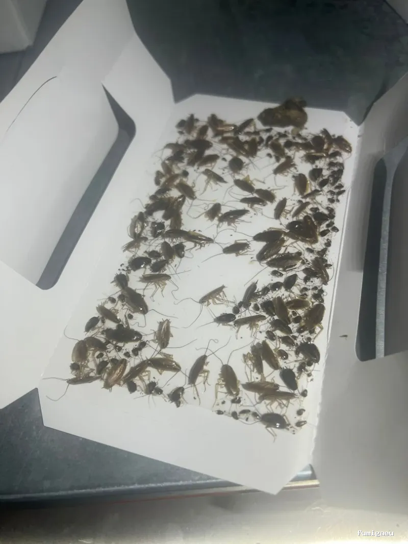 Control de plagas - Bioplagas