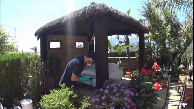 Higienisa Control de Plagas | Valencia