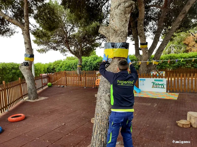 Higienisa Control de Plagas | Valencia