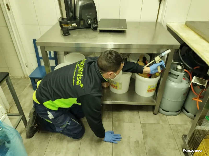 Higienisa Control de Plagas | Valencia