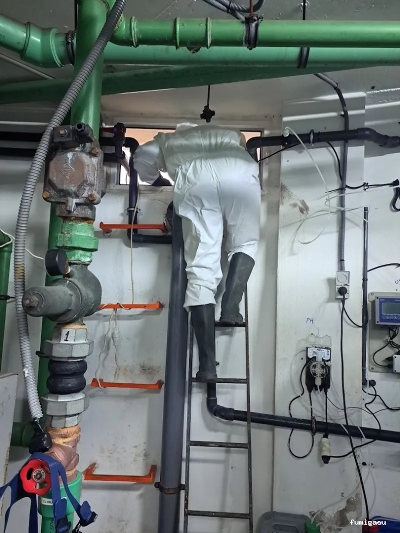 Higienisa Control de Plagas | Valencia