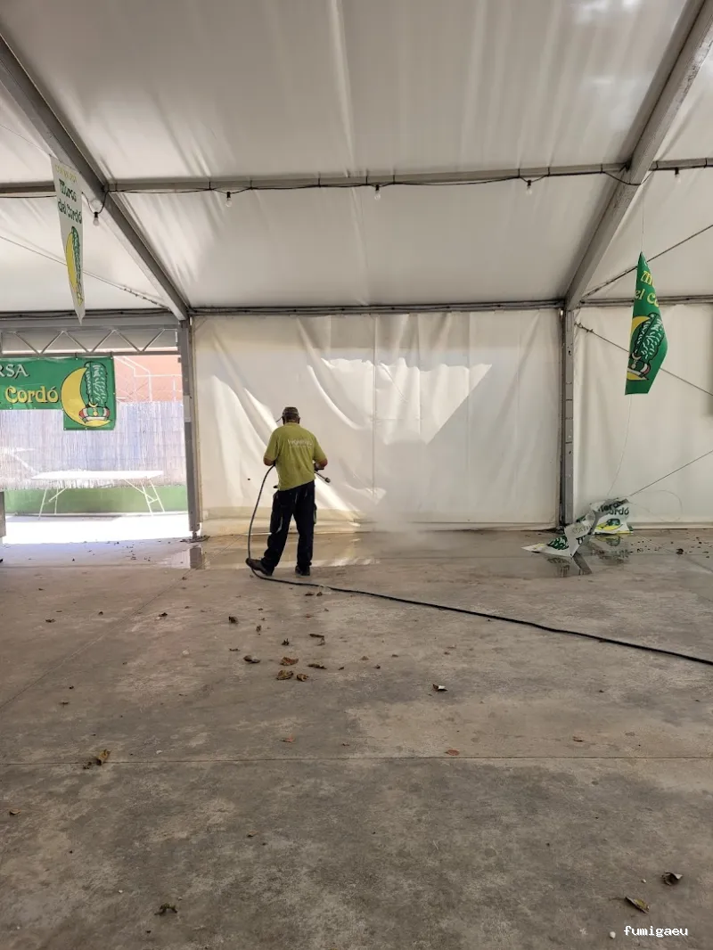 Higienisa Control de Plagas | Valencia