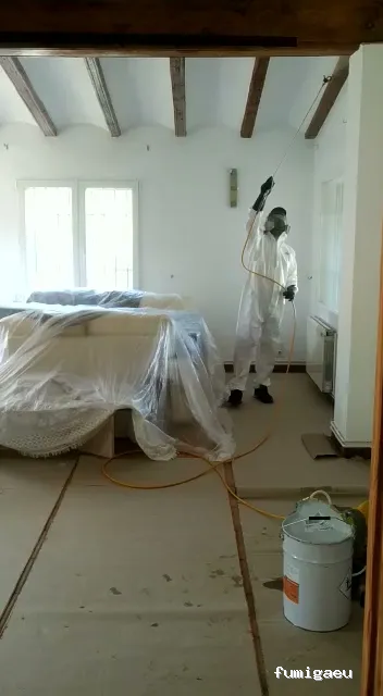 Higienisa Control de Plagas | Valencia