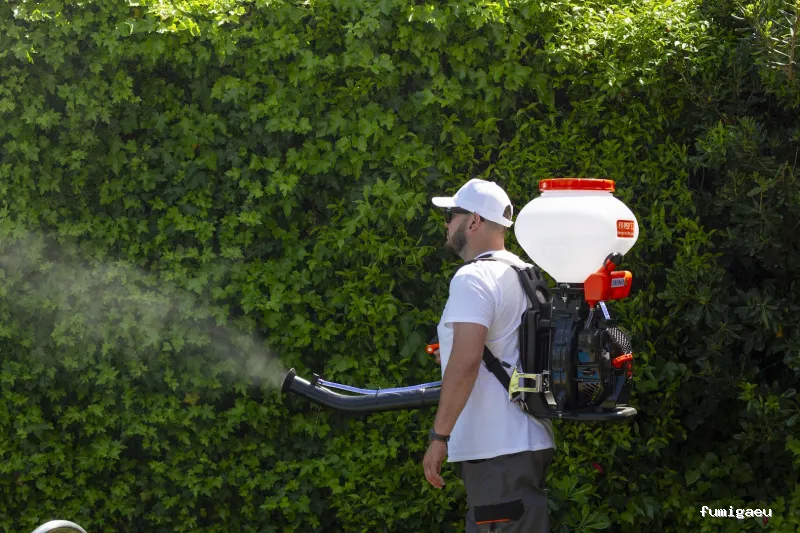 Cazadores de Mosquitos