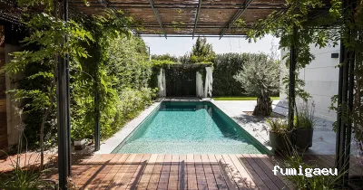 Cazadores de Mosquitos