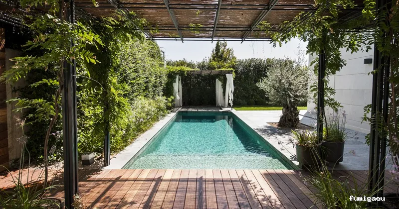 Cazadores de Mosquitos