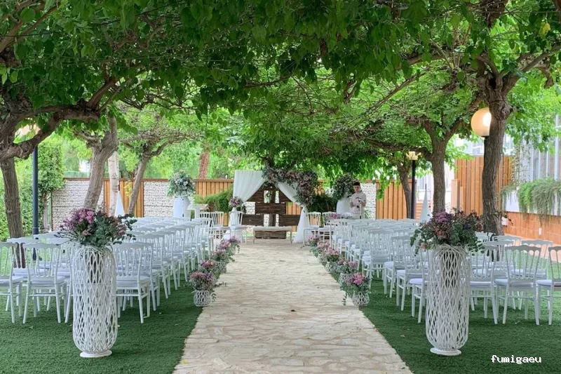 Cazadores de Mosquitos