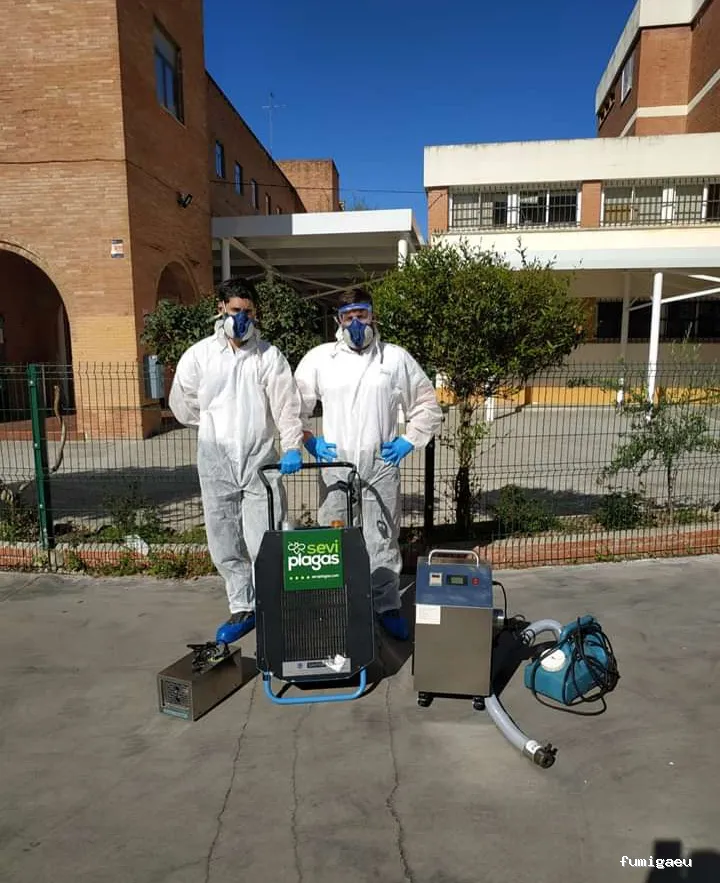 Seviplagas Huelva | Control de Plagas en Huelva