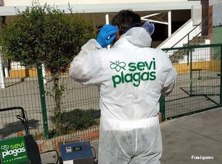 Seviplagas Huelva | Control de Plagas en Huelva