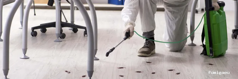 Desratizaciones Sur S.L. - Control de Plagas