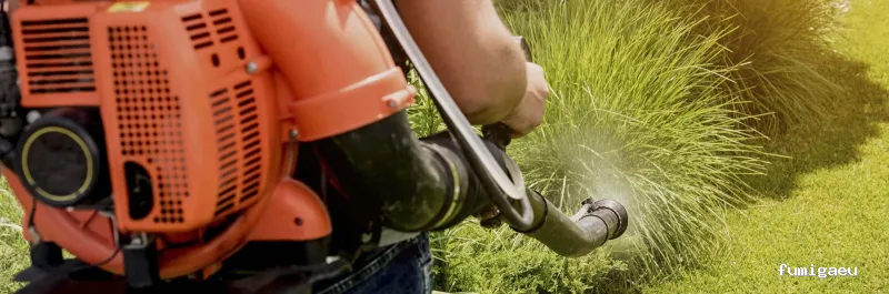 Desratizaciones Sur S.L. - Control de Plagas