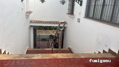 Servicios Integrales Ceuta