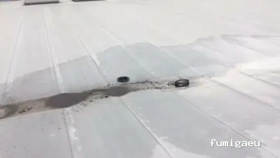 AFI desinfecciones S.L