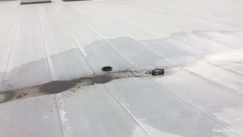 AFI desinfecciones S.L