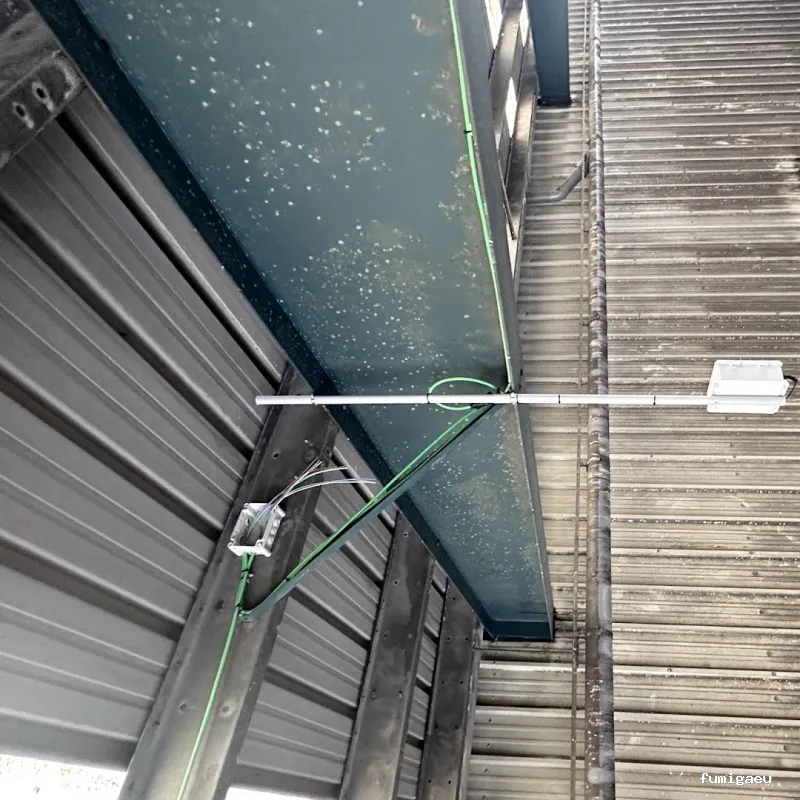 AFI desinfecciones S.L