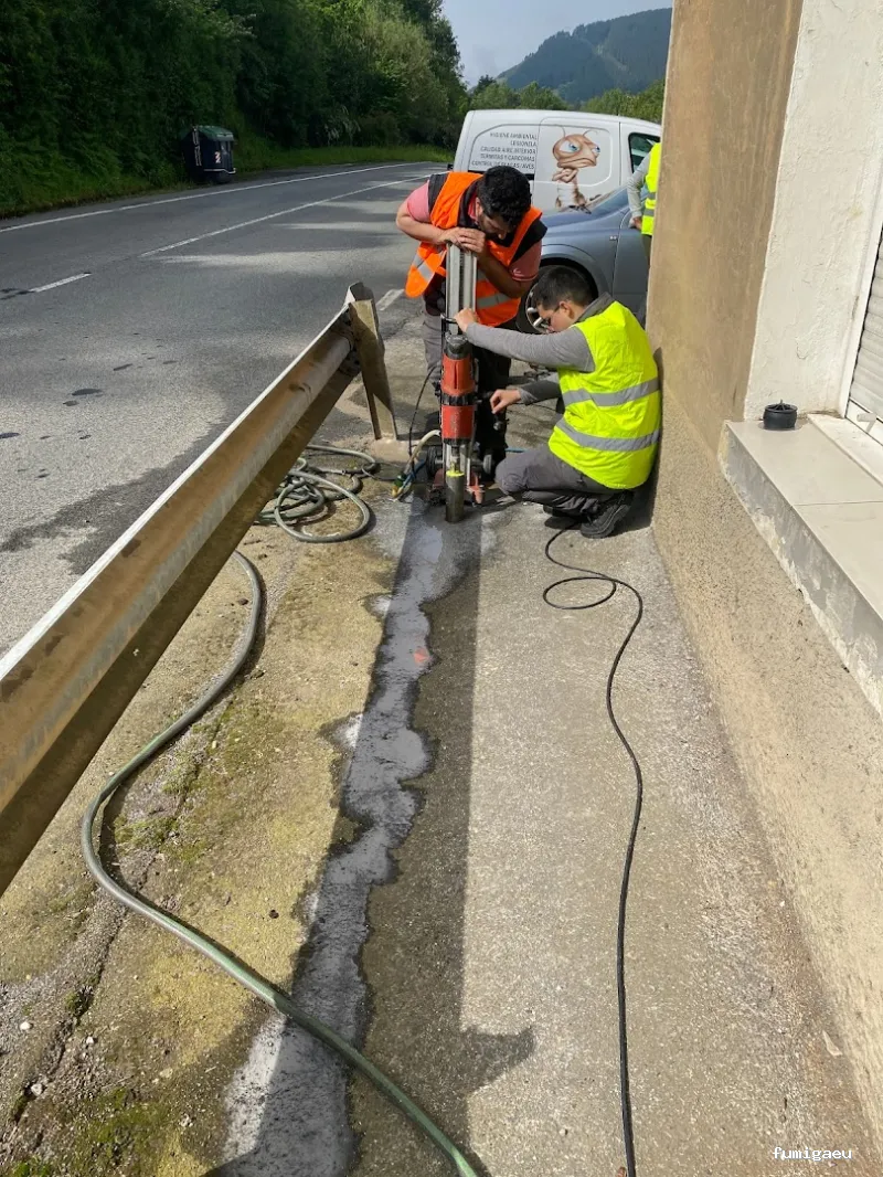 AFI desinfecciones S.L