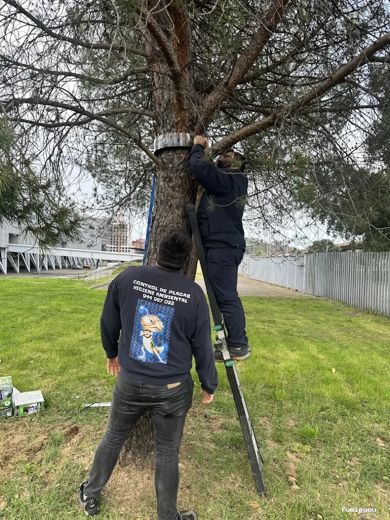AFI desinfecciones S.L