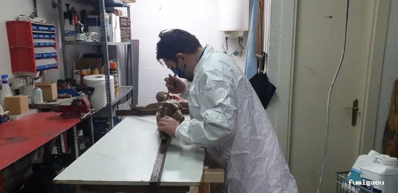 AFI desinfecciones S.L