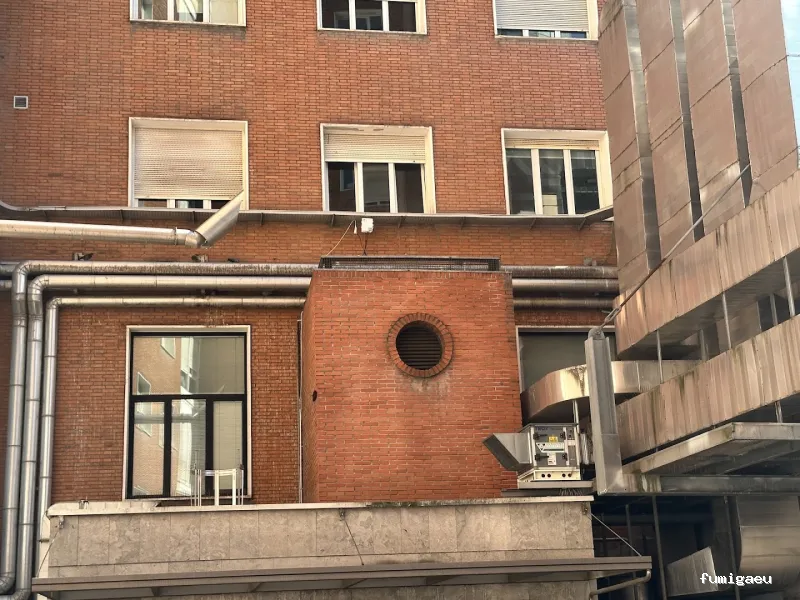 AFI desinfecciones S.L