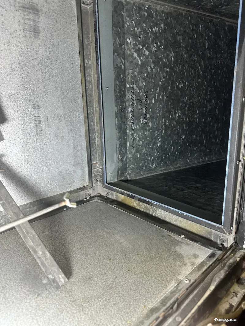 AFI desinfecciones S.L