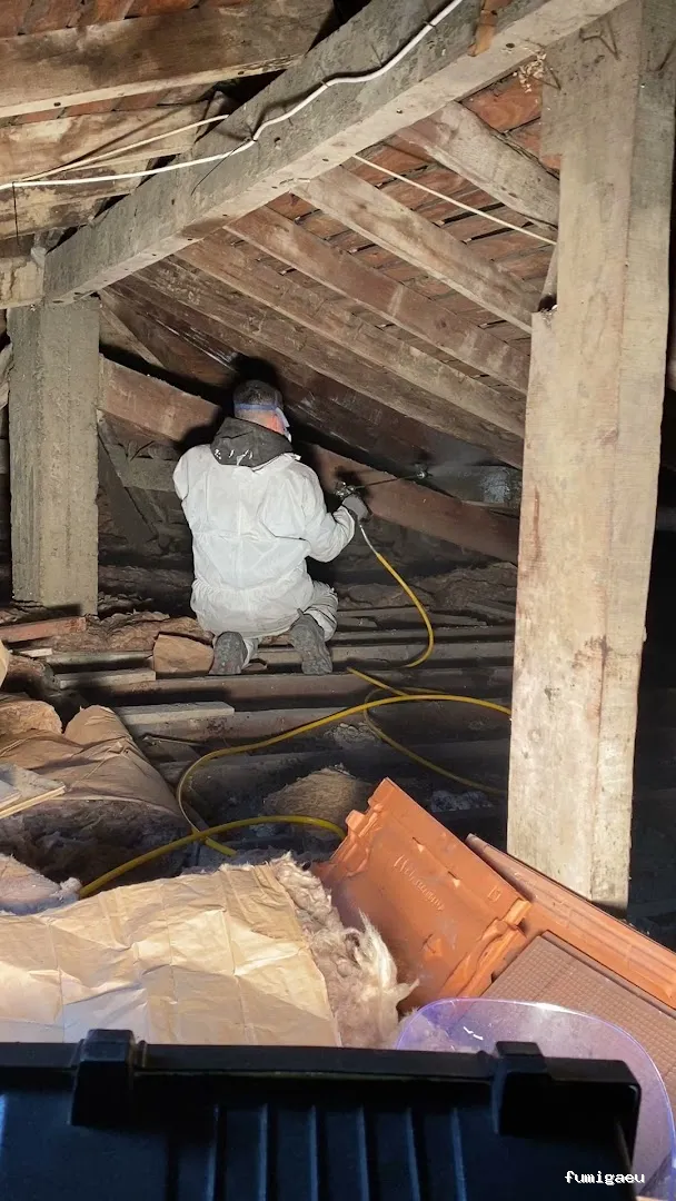 AFI desinfecciones S.L