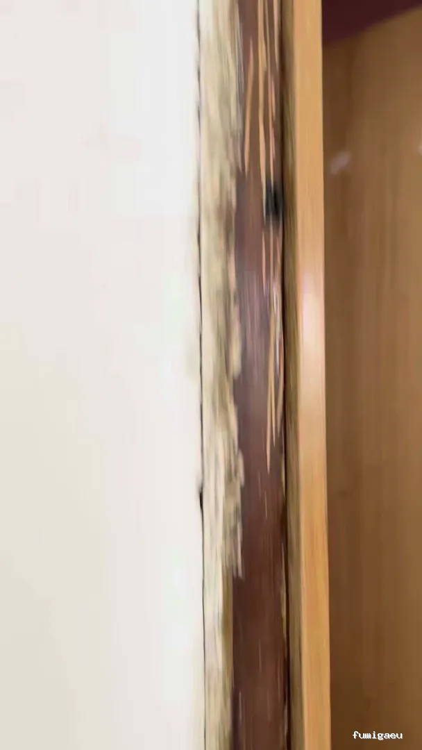 Control de Plagas Madrid | Eliminación de Chinches