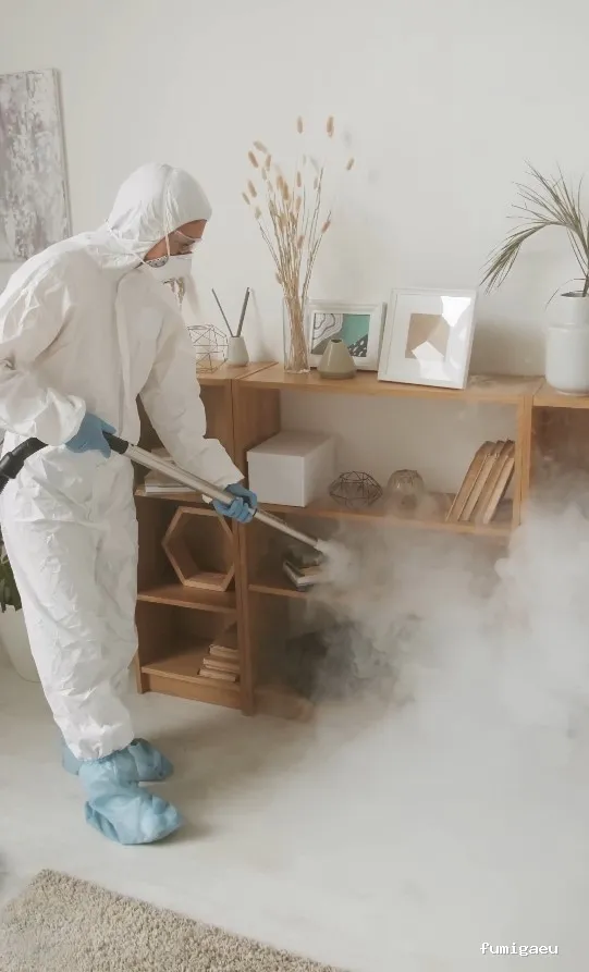 Control de Plagas Madrid | Eliminación de Chinches