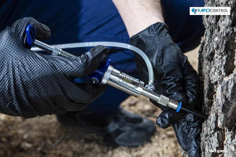 Rapid Control Desinfección S.L. - Control de Plagas y Fumigación Majadahonda