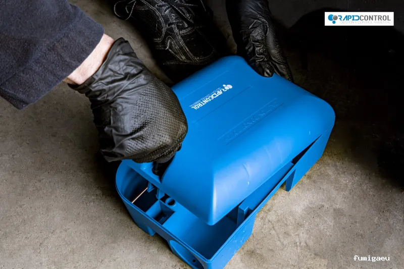 Rapid Control Desinfección S.L. - Control de Plagas y Fumigación Majadahonda