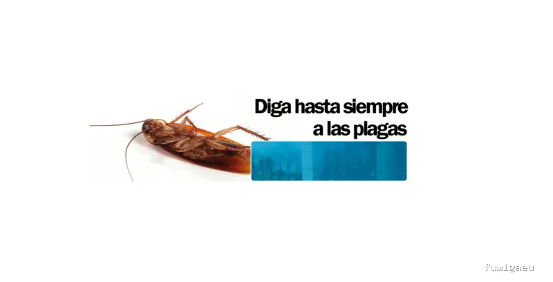 Empresa de fumigación y control de plagas - Desinfeccione MARPLAGA SL