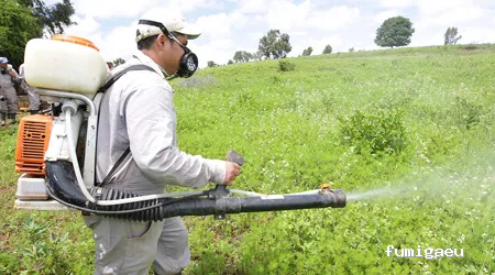 Control de plagas Badajoz