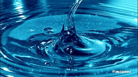 Control de plagas Badajoz