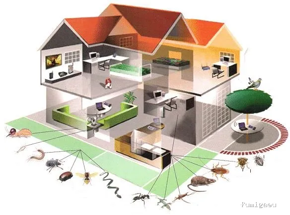 Control de plagas Badajoz