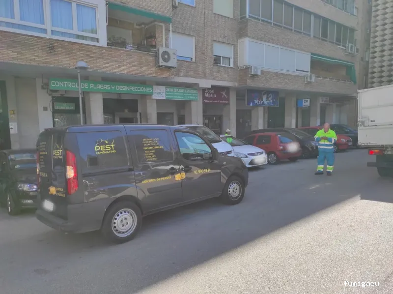 Pest Consulting | Control de Plagas