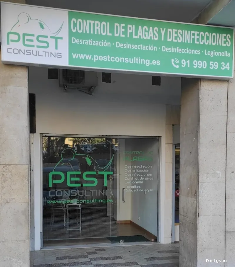 Pest Consulting | Control de Plagas